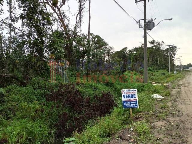 #306 - Terreno para Venda em Itapoá - SC - 3