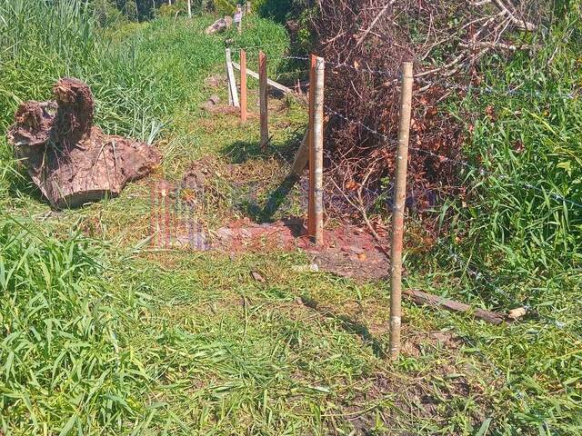 Terreno para Venda em Itapoá - 4