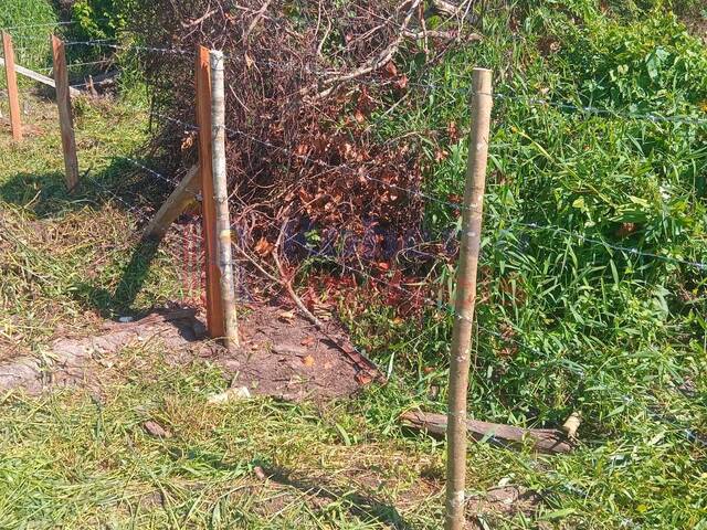Terreno para Venda em Itapoá - 5