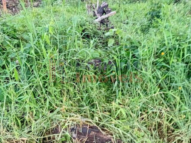 Terreno para Venda em Itapoá - 5