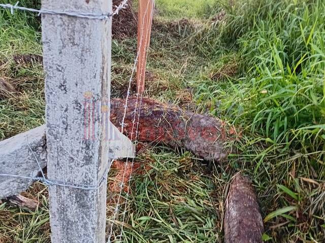 Venda em Pontal do Norte - Itapoá