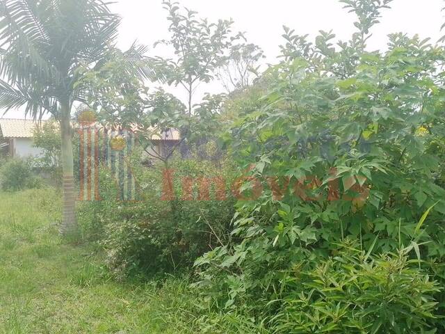 Terreno para Venda em Itapoá - 4